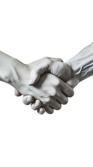 Close-up of Two People Shaking Hands in a Business Meeting
