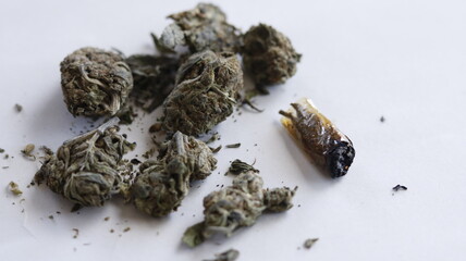 marijuana buns close up