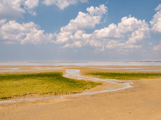 Mudflat at low tide draining into Slijkgat channel near nature reserve Kwade Hoek, Stellendam, Netherlands