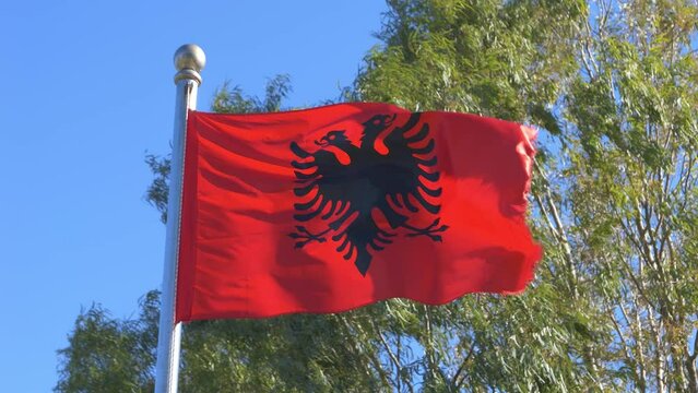 Albanian national flag waving in slow motion in the wind on a sunny day. Flamuri i Republikës së Shqipërisë