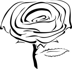 Lovely Rose Outline For Tattoo Sticker Clipart