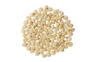 Sorghum seeds isolated on white background. Top view. Flat lay.
