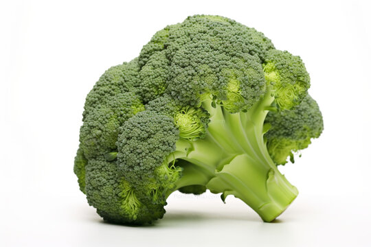 Beautiful Single Fresh Broccoli Isolated On White Background сreated with Generative Ai