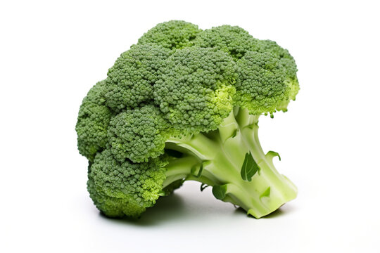 Beautiful Single Fresh Broccoli Isolated On White Background сreated with Generative Ai