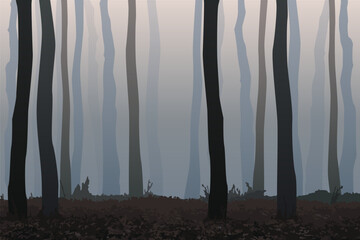 Misty forest vector landscape, morning fog in autumn woods. Moody nature, silhouettes of tree trunks, gloomy forest haze in dark grey tones. November outdoor scene, ground covered with fallen leaves