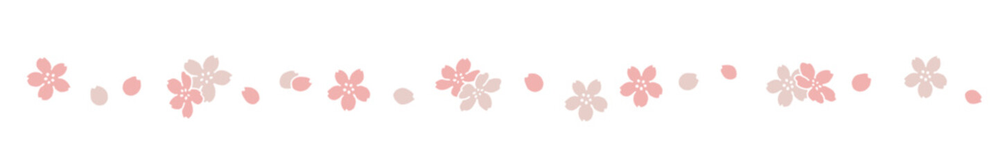 桜の罫線