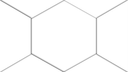 Background with hexagons. Abstract background with lines . white texture background . white and hexagon abstract background. white paper texture and futuristic .