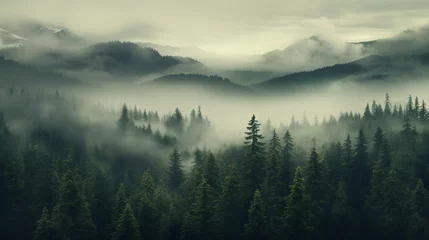 Papier Peint photo autocollant Forêt dans le brouillard Bird's eye view of a pine forest, fog Naturalism, Anamorphic Generation AI