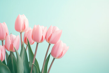 Pink tulip bouquet on a blue background Generation AI	
