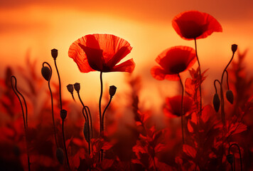 Red poppies in a field close-up atmospheric photo
Generation AI