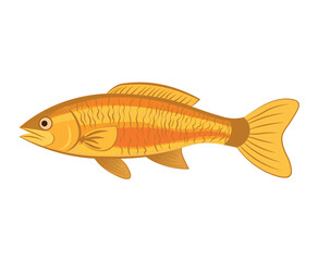 Fish of colorful set. This enchanting image feature a cartoon design of bright and lively yellow fish set against a serene white background. Vector illustration.