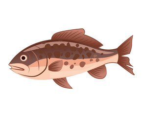 Fish of colorful set. In this delightful illustration bright fish is beautifully depicted in a charming cartoon design against a clean white canvas. Vector illustration.