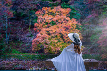 A young woman in a white dress sits and admires the changing colors of the leaves - 724904058