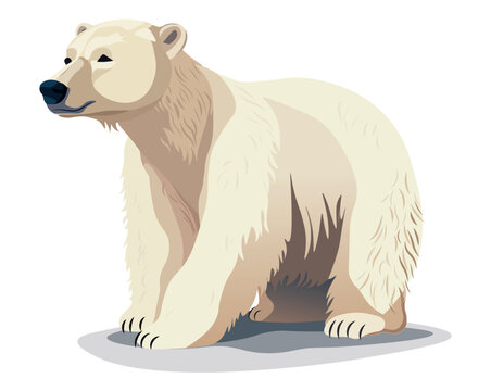 Bear of colorful set. In this imaginative illustration a polar bear is portrayed in a charming cartoon design, adding a touch of playfulness to the tranquil white canvas. Vector illustration.