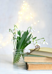bouquet of snowdrop flowers, vintage key and books on table, abstract light background. Romantic composition with Blossoming snowdrops, symbol of spring season. Relaxation, reading time