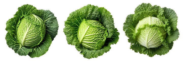 Set of Savoy cabbages isolated on transparent or white background