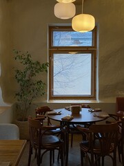 comfortable interior designe with plant