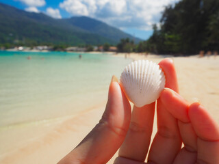 Hand holding a white sea shell on a tropical beach