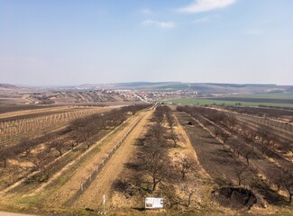 Landscape of vineyards in Southern Moravia near Velke Pavlovice