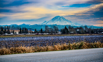 Mount Rainier From Kent 2