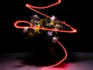 flowers lightpainting