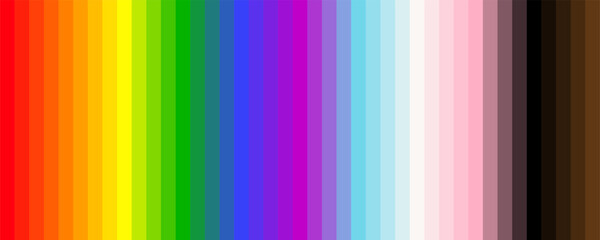 Colorful LGBTQIA+ Rainbow Strip Banner. LGBTQIA+ Flag colors for Flyers Print Web