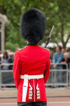 LONDON, UK - JUNE 12, 2010:  rear view of Guardsman of the Irish Guards at the Trooping the Colour parade 