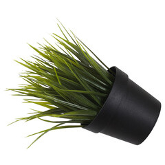 Creative layout with fresh potted chives isolated on plain background. - obrazy, fototapety, plakaty