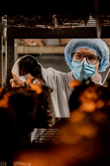 A mycologist in a mask from a mushroom farm grows shiitake mushrooms. A scientist examines mushrooms with a tablet in his hands