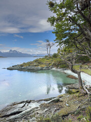The Argentine landscape of the coast near Ushuaia, trees on the rocky coast, clear water,...