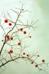 Dead branch with some red fruits over light green background