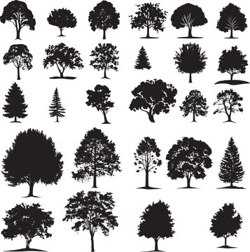 set alberi