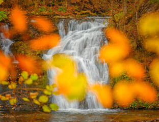 close up view to cascade of waterfall through autumn leaves