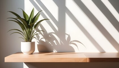 Minimal Scandinavian contemporary empty wooden table with sunlight. Simplistic Home office, Cafe, office and library