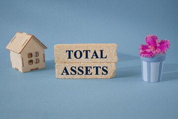 Total assets concept with letters on brick blocks. pink plant in blue pot on a grey background....