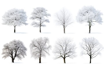 Fototapeta na wymiar Snow-covered trees in winter set