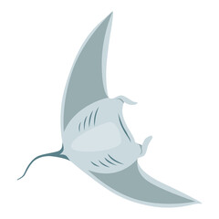 Stingray fish. Sea animal floating underwater. Cute cartoon stingray. Adorable sea creature isolated on white background. Wildlife, nature concept.  illustration of manta ray