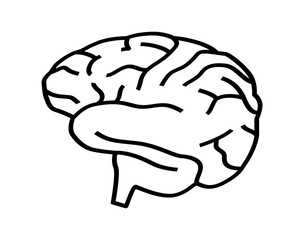 Brain with convolutions outline. Anatomical symbol of intelligence and creative psychological health with lines of memory and vector psychology