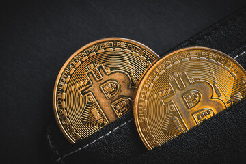 Cryptocurrency wallet, financial concept, Golden bitcoin sticking out of black wallet, black background
