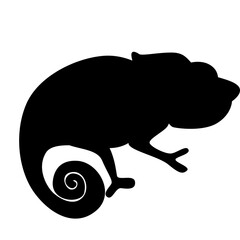 Chameleon cartoon silhouette vector illustration