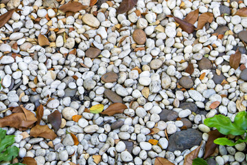 Multi-colored pebbles in the garden area Various sizes of gravel are used in lawns.