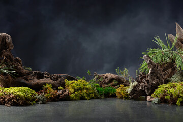Northern natural composition with lichen, moss, pine branches and driftwood.