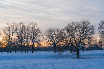 Sunset behind a snow-covered meadow with bare trees.