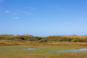 Landscape view of dunes with grass and plants in pond under blue clear sky in summer, Marshland and dike on Dutch Wadden Sea island Terschelling, A municipality and an island in Friesland, Netherlands