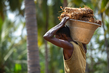 Up close, an Indian farmer works hard in the hot sun.