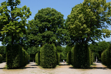 View of the Schoenbrunn Palace Park