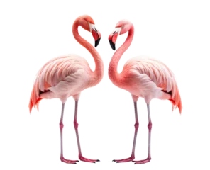 Fotobehang Gracefully standing three elegant pink flamingos, cut out © Yeti Studio
