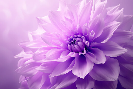 Beautiful purple flower on a soft lilac background. Generative AI image