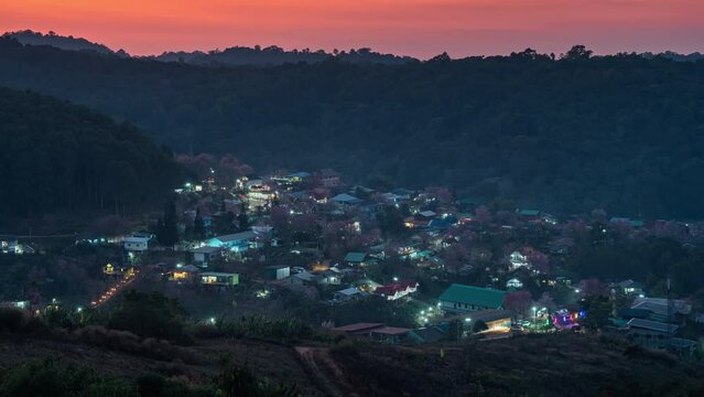 Viewpoint of sunset over Thai tribe village with wild himalayan cherry blooming at Ban Rong Kla