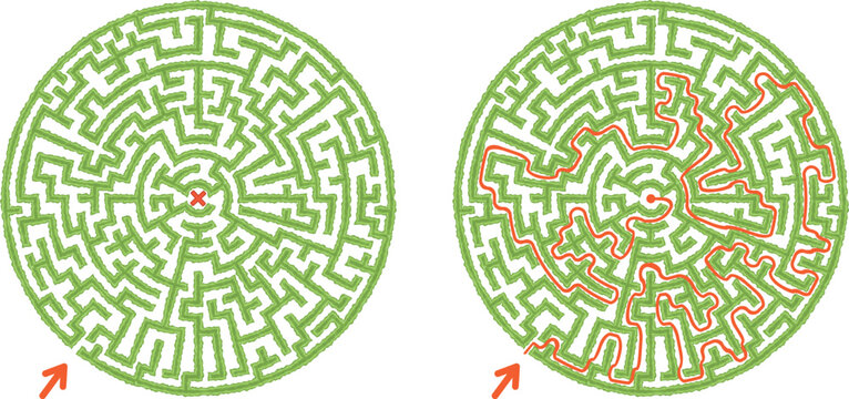 Green round hedge maze vector Illustration. Top view of the open air circular labyrinth made of garden bushes and grass. Find the way to center logic game for family isolated on white.